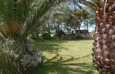 evasion exotique à 700 metres de la plage - Foto 38