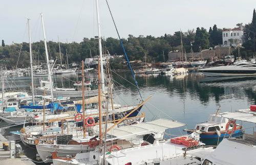 Loula's House - Photo 16