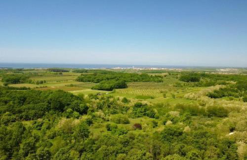 Apartment Apartment 2 in einer neuen Villa mit Pool in ruhiger Lage by Interhome - Foto 39