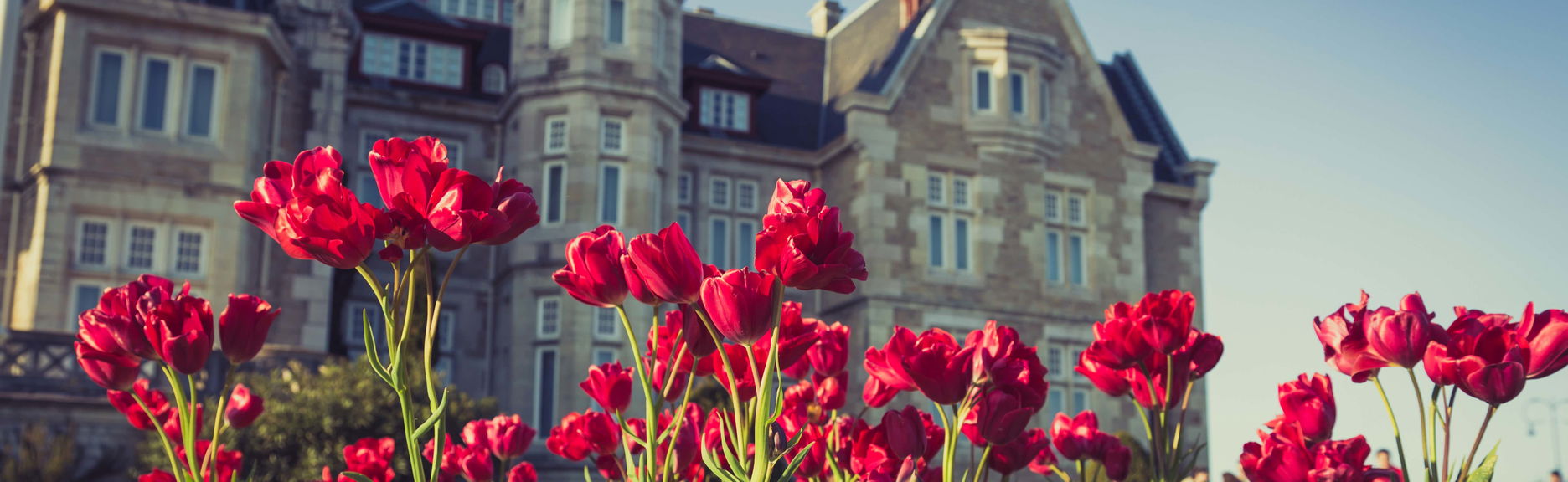 Tour in Santander - Foto 1