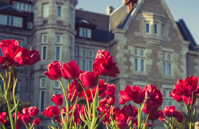 Visita guidata del Parco e del Palazzo della Magdalena - Foto 1