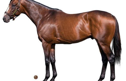 Chambre chez l'habitant dans un appartement à 2 pas de la gare SNCF et à 300m de la gare routière - Foto 24