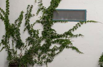 Apartamentos Petronila 1881 - Foto 74