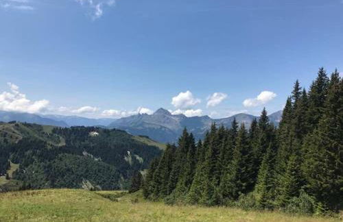 Chez Francine - Photo 70