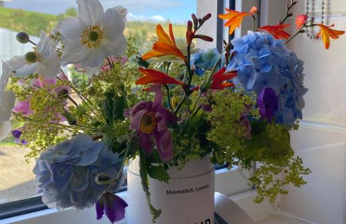 Betty's Farm Cottage - Foto 36