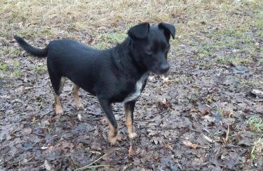 Apartamenty Nad Wisłą - Foto 7