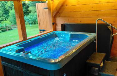 Agroturystyka - AGRODOMEK -Basen, Jacuzzi, Sauna - Foto 3