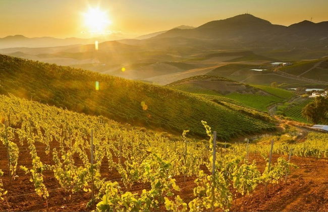 Agriturismo Tarantola - Foto 46