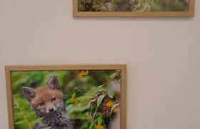 Valtellina Sondrio Holidays 3 - Foto 16