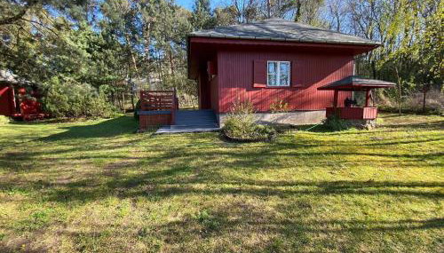 Boszkowski Azyl - Foto 4, Garden