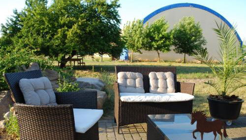 Ferienwohnung auf Pferdehof - Foto 5, Garden