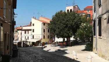 La Calletta - Foto 4