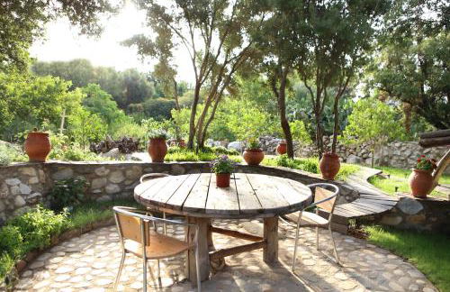 Captain Ikaros - Foto 68