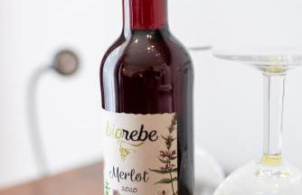 Modernes Apartment - Photo 5