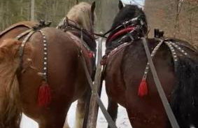 Natur House Beskidy - Unikalny Domek w Górach, Balia, Sauna - Foto 47