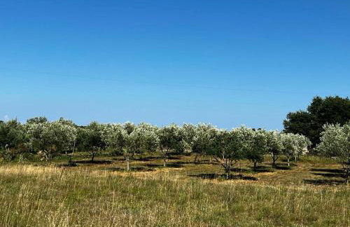 Casa La Vida - Foto 64