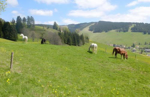 Ferienwohnung Bergahorn - Photo 9