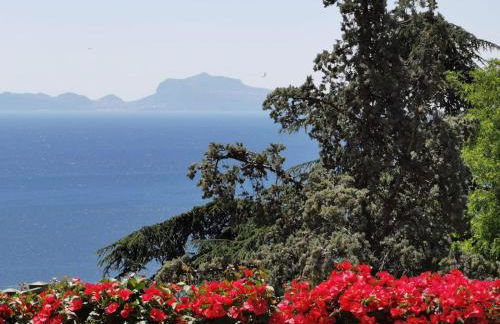 Vomero Guest House - Foto 33