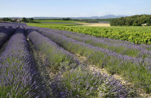 Ardeche - Gites Objectif Evasion - Foto 38