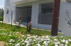 Alykes Volos - Photo 4