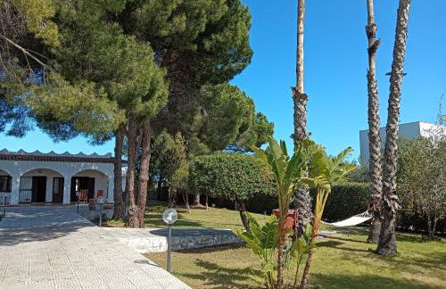 Villa la Pineta - Photo 34