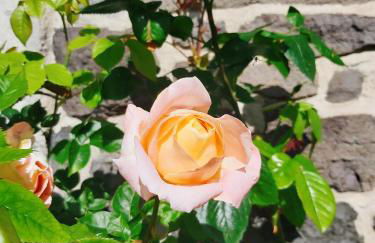 APPART HOTEL Place des Jolis Rêves - Foto 77