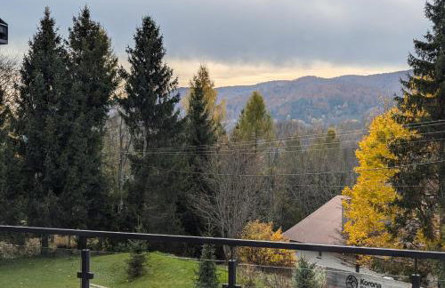 Korona Bieszczad Premium Apartments - Foto 96