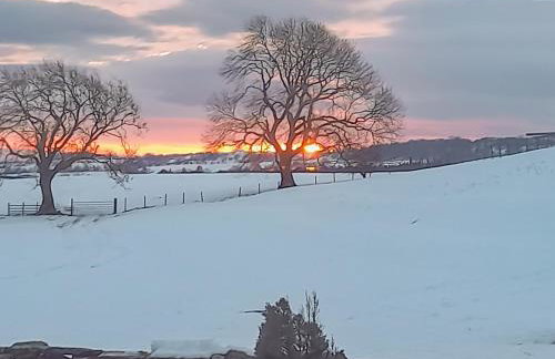 High Dalton Hall Cottage - Foto 19