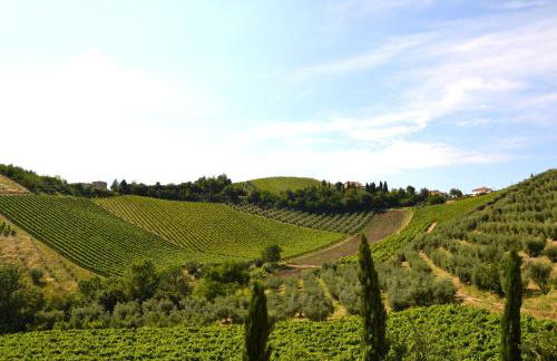 Agriturismo Fiorano - Foto 50