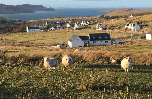 Driftwood Cottage - Photo 52