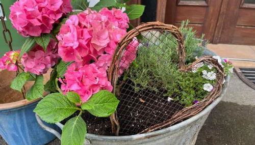 Altes Bauernhaus in der Natur - Foto 5, Garden
