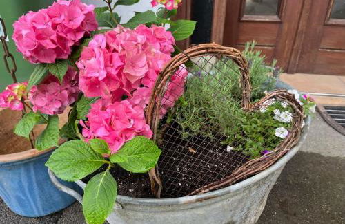Altes Bauernhaus in der Natur - Foto 5
