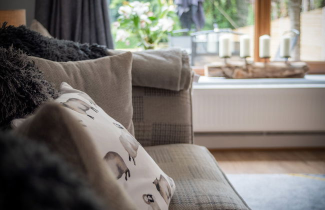 Wern Y Glais - 2 Bedroom Cottage - Glais - Photo 36