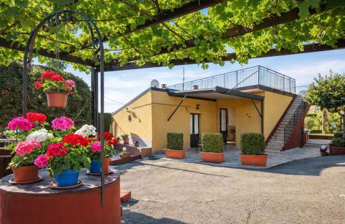 Villa Laura - Foto 49