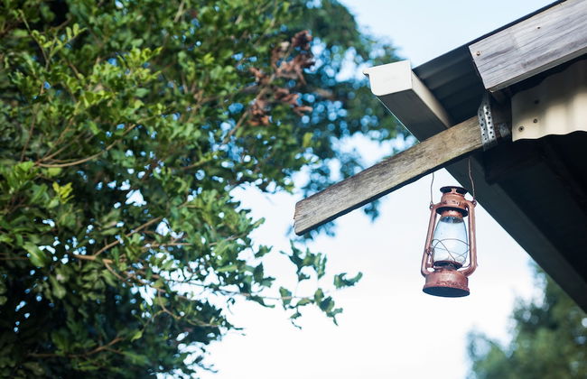 Fig Tree Retro Studio - Foto 34