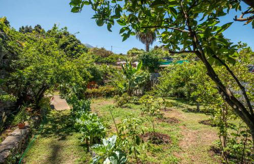 LA HORTENSIA - Foto 13