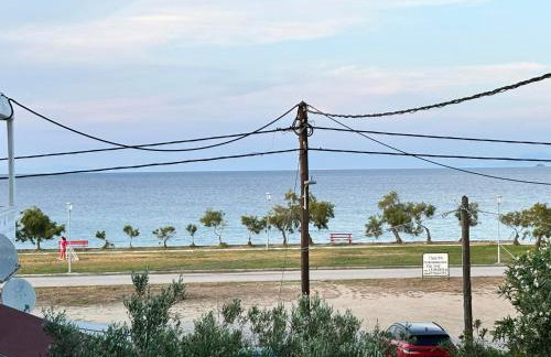 ΚΟΧΥΛΙ - Foto 11