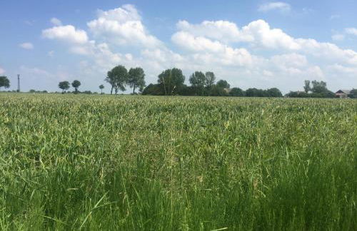 Ferienhaus Auszeit - Foto 9