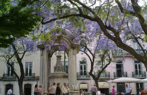 Condessa Vintage Apt Chiado - Photo 31