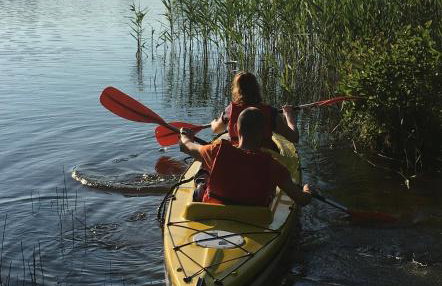 Kamień na Kaszubach - Foto 19