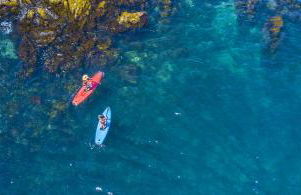 BERGERIE PLAGE Entièrement rénové Prestations Premium Baignoire Balnéo Clim Vue Piscine et parc - Foto 33