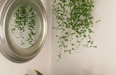 Beautiful 1 bedroom holiday home in Lancaster - Foto 12