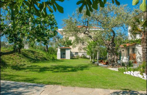 Sunray Separate Villa - Photo 34