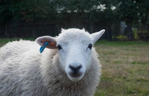 Hillside House - Foto 21