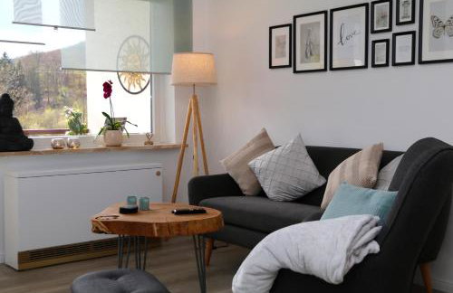 Ferienwohnung Sonnenblick Balkony - WIFI - New & Modern - Winterberg - Niedersfeld - Foto 49