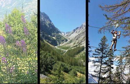 Le Skisun - Altitude 1800 - Puy Saint Vincent - Massif et Parc national des Ecrins - Foto 26