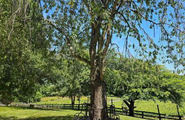 Vinewood Estate & Adventures - Foto 22