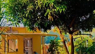 Visão privilegiada Garatucaia - Foto 4