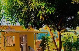 Visão privilegiada Garatucaia - Foto 4