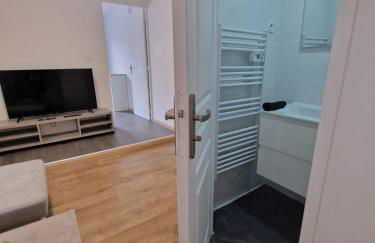 Appartement Hyper Centre Cosy avec Balcon - Foto 17